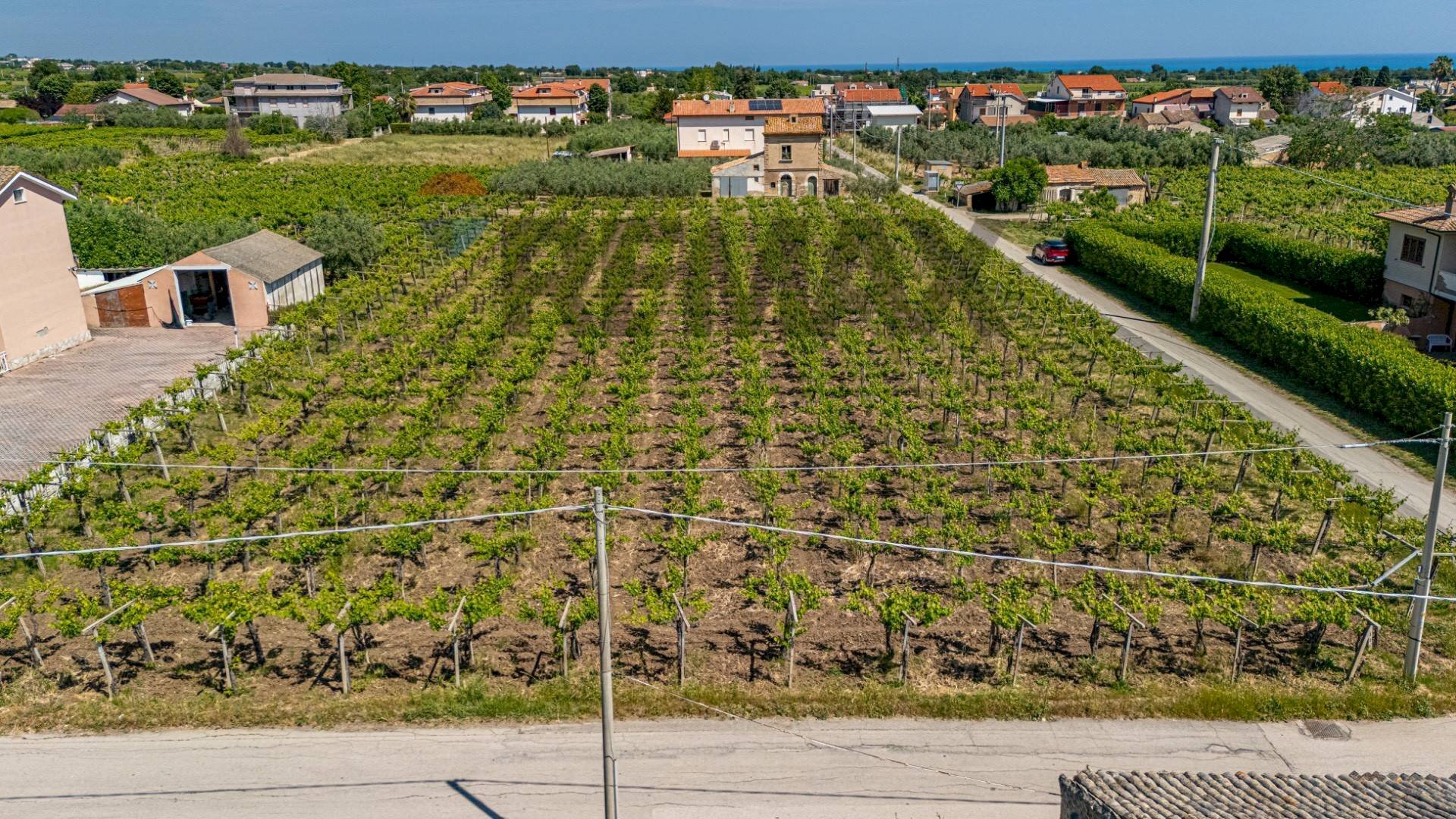 Giardino - Terreno edificabile via Degli Oleandri
 
snc, Casalbordino - foto 1