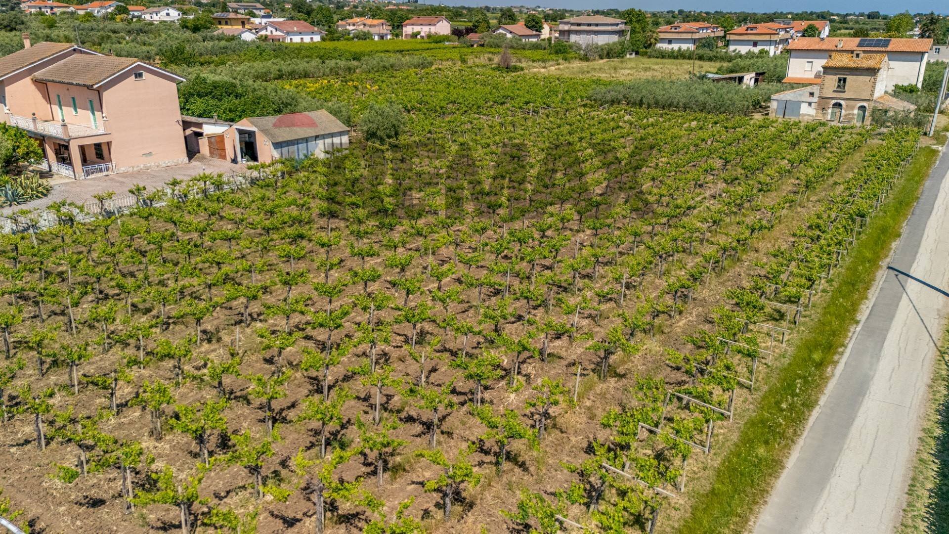 Giardino - Terreno edificabile via Degli Oleandri
snc, Casalbordino - foto 3