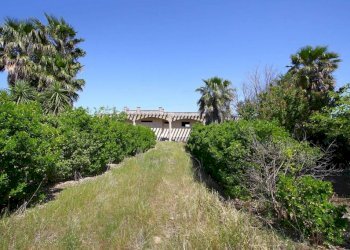 Terreno - Villa SP86, Supersano - photo 15