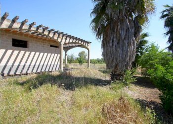 Terreno - Villa SP86, Supersano - photo 18
