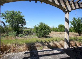 Terreno - Villa SP86, Supersano - photo 22