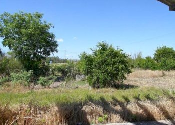 Terreno - Villa SP86, Supersano - photo 23