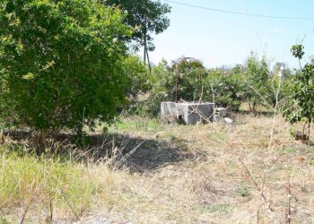 Terreno - Villa SP86, Supersano - photo 25