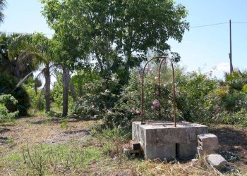 Terreno - Villa SP86, Supersano - photo 26