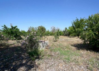 Terreno - Villa SP86, Supersano - photo 28