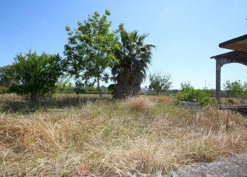 Terreno - Villa SP86, Supersano - photo 30