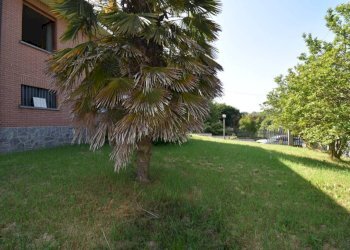 Giardino - Villa via Serra Cora, Monale - photo 48