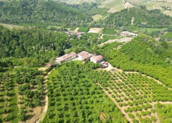 Terreno - Rustico via Alba, Sinio - foto 8