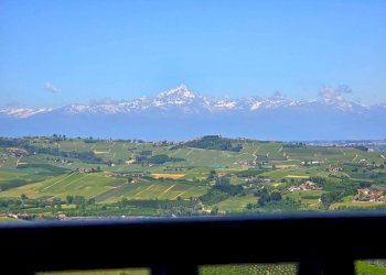 Vista - Villa Diano d'Alba - foto 6