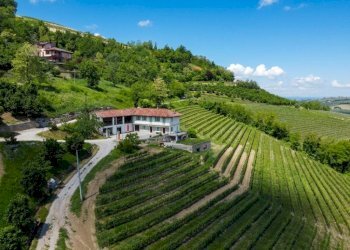 Terreno - Rustico Diano d'Alba - foto 5