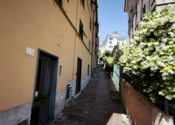 Zona - Three-room apartment salita Superiore San Rocchino, Genova (neighborhood Castelletto) - photo 3
