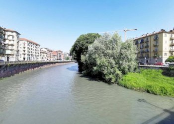Zona - Bilocale via Pisa, 46, Torino (zona Aurora) - foto 21
