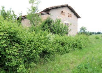 Rustic Via Canale, Casalgrande - photo 4