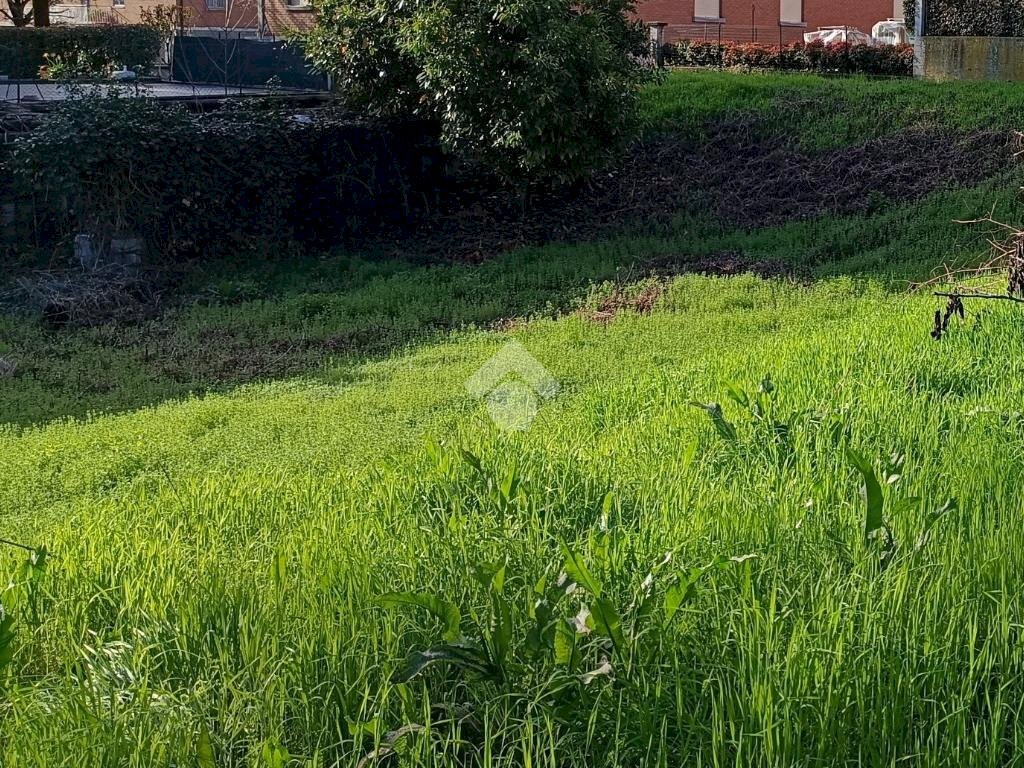 Building land Via Canale, Casalgrande - photo 3
