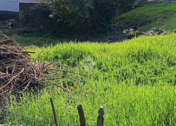 Building land Via Canale, Casalgrande - photo 2