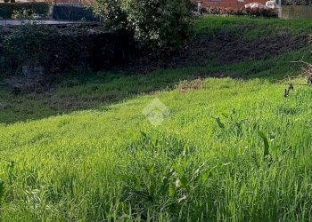 Building land Via Canale, Casalgrande - photo 3