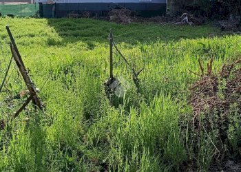 Building land Via Canale, Casalgrande - photo 4