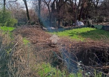Building land Via Canale, Casalgrande - photo 7