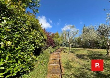 Foto 16 - Villa Via Scese Lunghe, Castel Morrone - photo 16