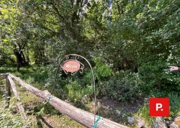 Foto 35 - Villa Via Scese Lunghe, Castel Morrone - photo 35