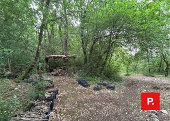 Foto 41 - Villa Via Scese Lunghe, Castel Morrone - foto 41
