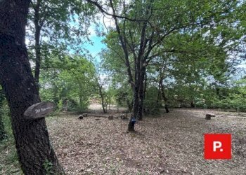 Foto 42 - Villa Via Scese Lunghe, Castel Morrone - foto 42