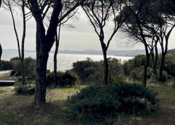 Terreno - Villa Località Riviera dei Pini, Budoni - photo 6