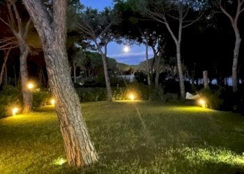 Terreno - Villa Località Riviera dei Pini, Budoni - photo 20