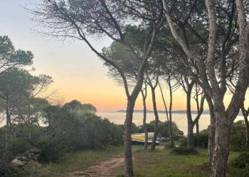 Terreno - Villa Località Riviera dei Pini, Budoni - photo 30