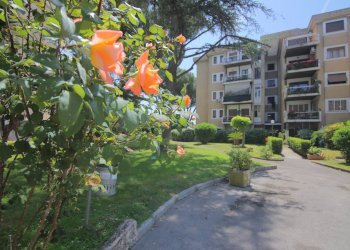 Foto 1 - Bilocale VIA CINO DEL DUCA
 
71, Roma - foto 1