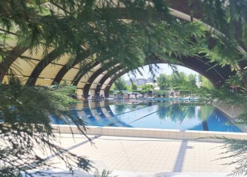 Piscina - Quadrilocale via Ignazio Vian, 3, Torino (zona Lingotto) - foto 34