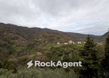 Vista - Trilocale via Corace 1, Gimigliano - foto 18