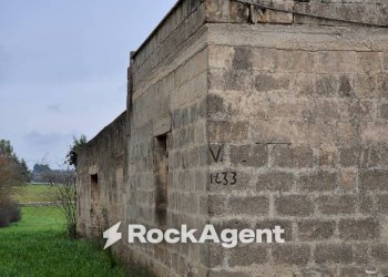 Terreno - Rustico Carraro dei Girardi, Gioia del Colle - foto 7