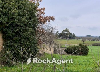 Terreno - Rustico Carraro dei Girardi, Gioia del Colle - foto 12