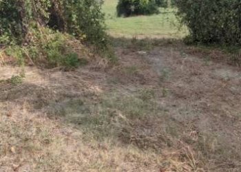 Terreno - Rustico Civitaquana - foto 20