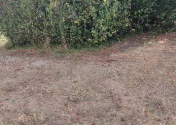 Terreno - Rustico Civitaquana - foto 21