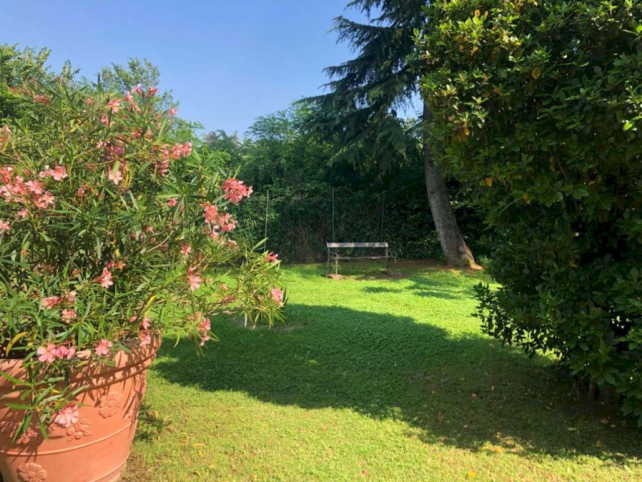 giardino condominiale - Two-room apartment via San Ruffillo, San Lazzaro di Savena - photo 2