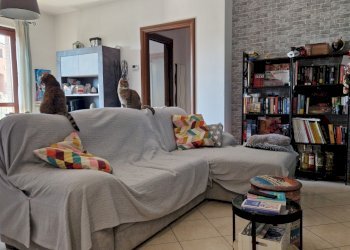 20260526_162749 - Three-room apartment Via Luigi Credaro 11, Perugia - photo 19