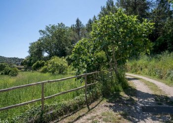 foto_9 - Villa Via Dolcedo, Imperia - photo 9