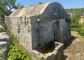 WhatsApp Image 2026-05-26 at 13.26.39 - Villa Contrada Fantese 38, Ostuni - photo 7