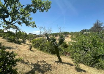WhatsApp Image 2026-05-26 at 13.07.19-2 - Villa Contrada Fantese 38, Ostuni - photo 21
