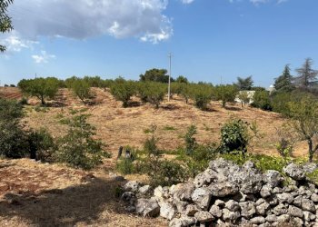 IMG-20250802-WA0005 - Villa Contrada Fantese 38, Ostuni - photo 25