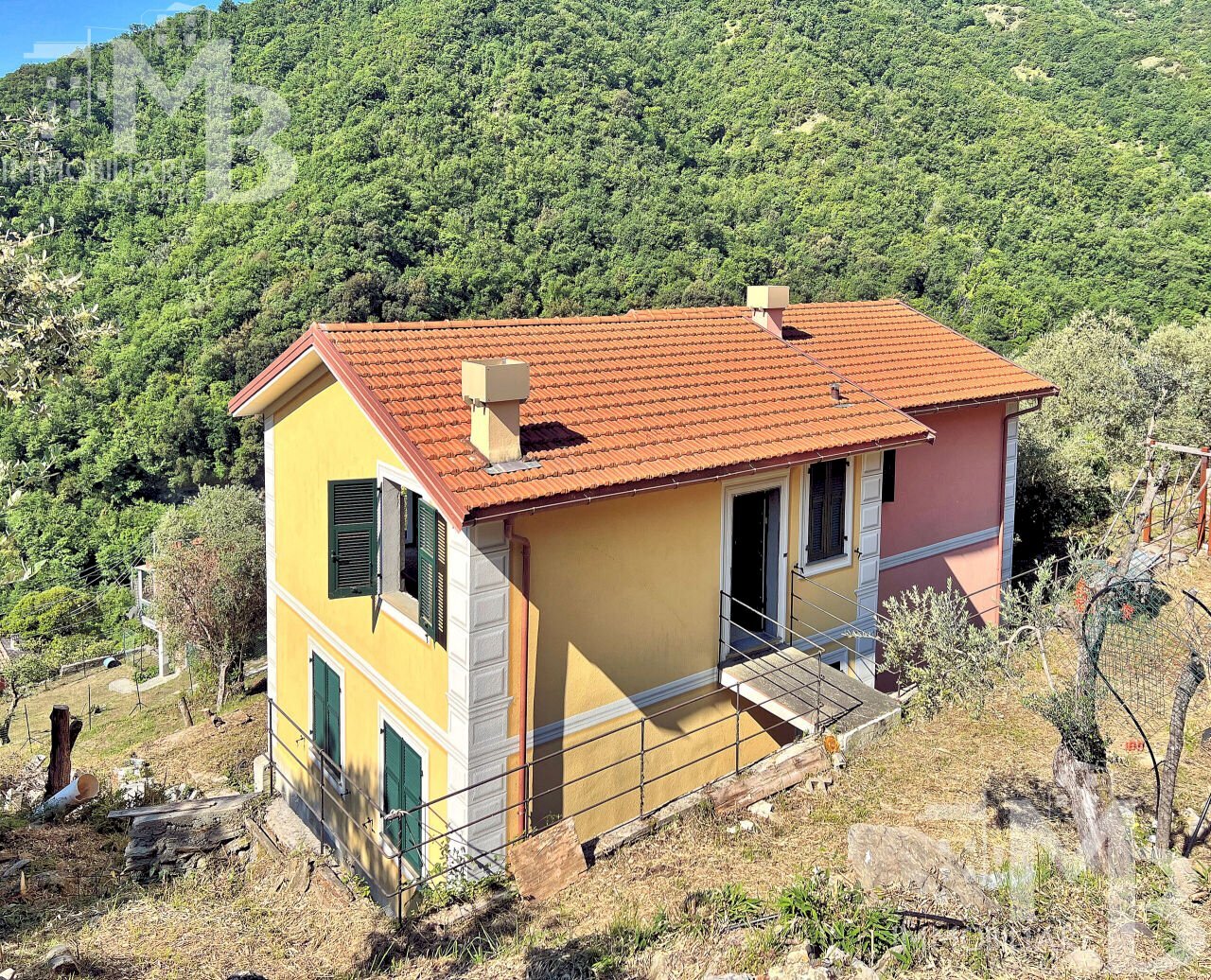 INSIEME 5 - Casa semi indipendente Via Posato 21, Avegno - foto 2