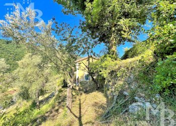 TERRENO EST E CASA - Semi-detached house Via Posato 21, Avegno - photo 29