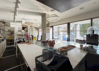 Commercial Activity Rodano - photo 7