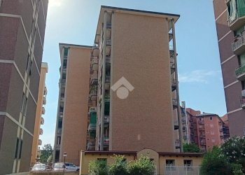 Trilocale Via Privata Carlo Innocenzo Frugoni, Milano (zona Niguarda) - foto 3