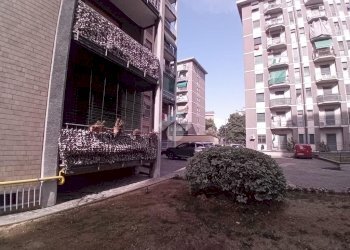 Trilocale Via Privata Carlo Innocenzo Frugoni, Milano (zona Niguarda) - foto 6