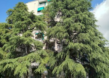 Trilocale via Giotto, 3, Bologna (zona Barca) - foto 4