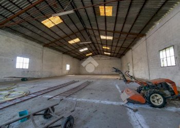 Capannone Cantone Grassi, Casale Monferrato - foto 6