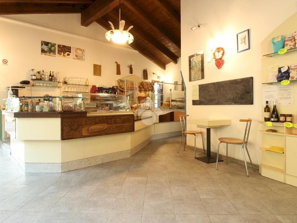 Attività Commerciale Via martiri della libertà, Salussola - foto 3